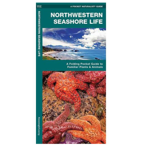 wfp006 of Nautical Books Northwestern Seashore Life