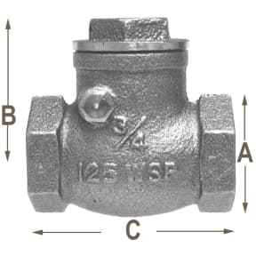 Swing Check Valves