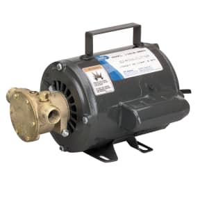 11810 of Jabsco 11810 BRZ AC Motor Flexible ImpellerUtility Pumps