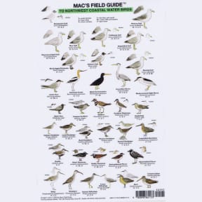 Mac's Field Guides - Northwest Coastal Waterbirds