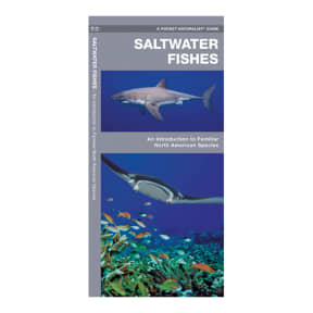 wfp009 of Nautical Books Salt Water Fishes