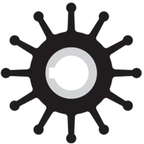 Neoprene Impellers & Kits