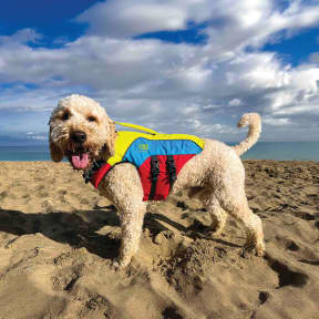 FIDO Flotation Lifejacket for Dogs