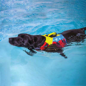 FIDO Flotation Lifejacket for Dogs