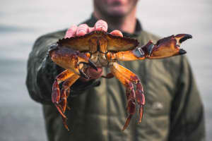 A recreational fisherman holding a crab, representing sustainable harvesting and catch record card reporting for state fishery managers.
