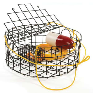 Crab Pot