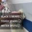Streak Fixer - Black Streak Remover + Protector
