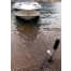 Hook Shore Spike