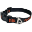 Dog Collar