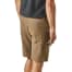 Ash Tan Color Model Back of Patagonia Men's Quandary Shorts 