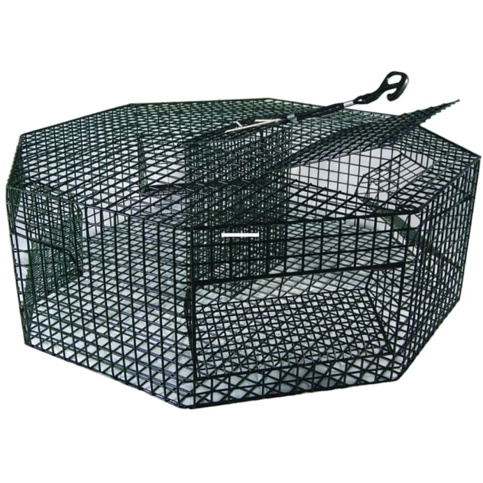 8-Quart Digital Air Fryer