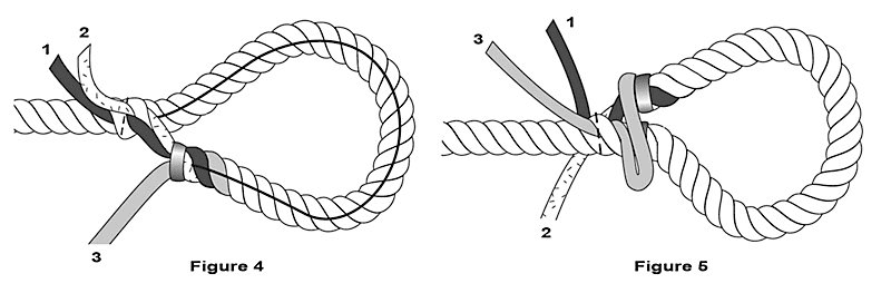 Tuck strands #2 and #3 for the eye splice.